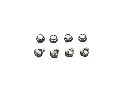 240130 - CCE License Plate Mounting Screws Chrome