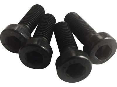 618474 - CULT WERK Front Fender Mounting Screws Black Galvanized