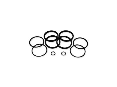 641047 - CCE Brake Caliper Seal Kit without Pistons, Seals only