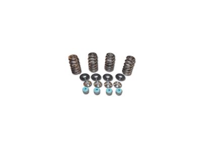 699243 - MANLEY 05 TC VALVE SPRING TIT CLR