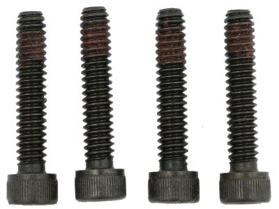 75272 - CCE 10-24 x 1" Torx Stator Mounting Screws Pack of 4