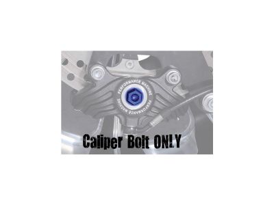 888463 - PM Vintage Brake Caliper Bolt Blue