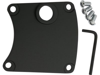 895060 - CCE Replacement FXR Inspection Cover Black