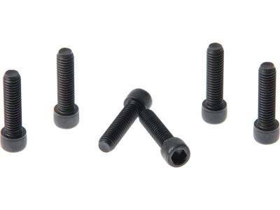 901685 - CULT WERK Triple Tree Screw Set (6 piece set), Black Triple Tree Screw Set