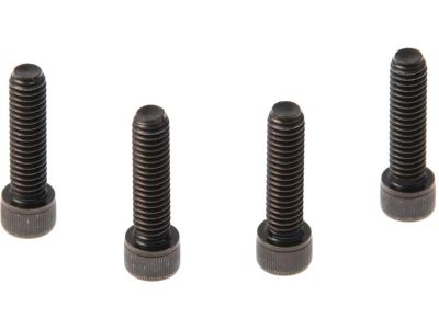 901686 - CULT WERK Front Fender Mounting Screws Black Galvanized