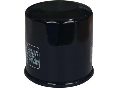 912952 - CCE Oil Filter for Indian Black