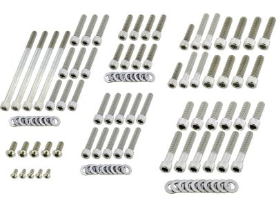 913422 - screws4bikes Complete Engine Screw Kit Screws for V Rod Clutch-, Alternator-, Sprocket-, Oil Pump-, Derby-, Cam-, Water Pump Cover, Oil Pump, Starter, Thermostat Assembly, Oil Filter Mount, Speed-,Crankshaft Sensor Stainless Steel