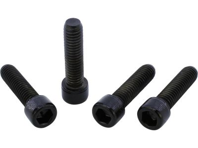 914249 - screws4bikes Front Fork Brackets Screw Kits Gloss Black Powder Coated