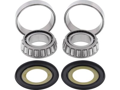 921724 - ALL BALLS Steering Bearing Kit Including Seals and Bearings with Races