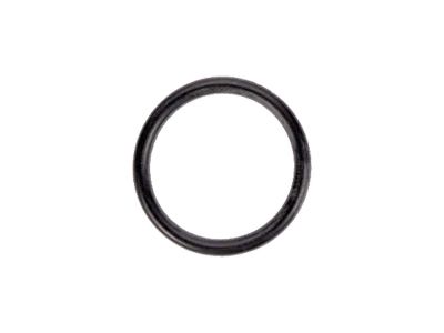 924383 - CCE Lower Pushrod Cover O-Ring Each 1
