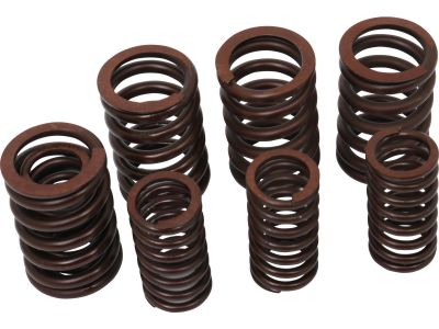 924523 - CCE Valve Spring Kit Set of 4 Inner and Outer Valve Springs