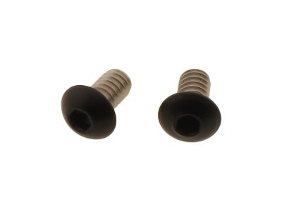 924715 - screws4bikes Aircleaner Screw Kit Supplied are 2 screws Satin Black Powder Coated
