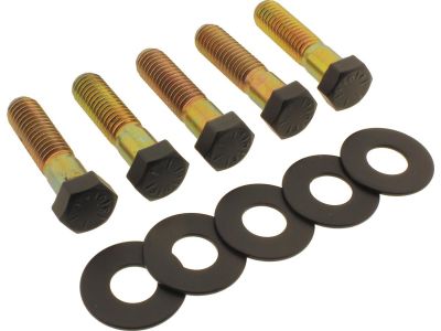 924740 - screws4bikes Sprocket/Pulley Screw Kit 5 Hex Head Screws, 5 Washers Satin Black Powder Coated