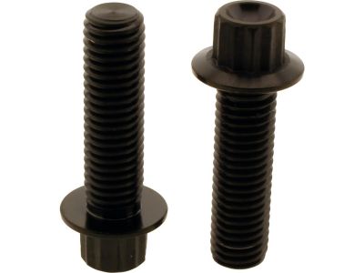 924747 - screws4bikes Titan Front Brake Caliper Screw Kit 2-Piece Black