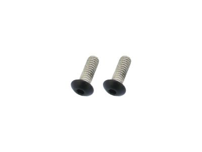 924770 - screws4bikes Point Cover Screw Kit Supplied are 2 screws Satin Black Powder Coated