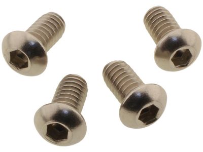 924816 - screws4bikes Headlamp-/Fork Cover Screw Kit Stainless Steel