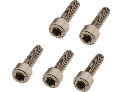 924846 - screws4bikes Fork Clamp Screw Kit Stainless Steel