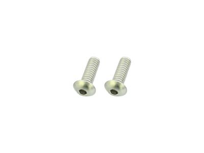 924877 - screws4bikes Point Cover Screw Kit Supplied are 2 screws Stainless Steel