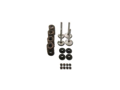 99214 - MANLEY Race Master Valve Train Component Kit