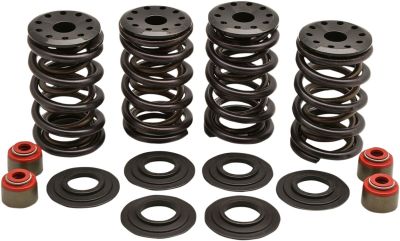 09260184 - KIBBLEWHITE SPRING KIT 05-17 TC/XL