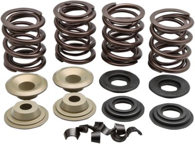 09260800 - KIBBLEWHITE VALVE SPRING KIT 66-E84BT