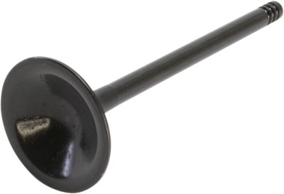 09262868 - KIBBLEWHITE VALVE EXHAUST XL1200 STD