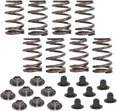 09263054 - COMP CAMS SPRING KIT .540 17-19 M8