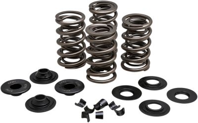 09263167 - KIBBLEWHITE SPRING KIT .650 VL EVO/TC