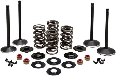 09263210 - KIBBLEWHITE VALVE KIT COMP 84-98 EVO