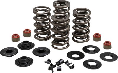 09263347 - KIBBLEWHITE SPRING KIT 05-17 TC/XL