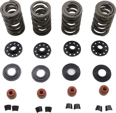 09263348 - KIBBLEWHITE SPRING KIT 05-17 TC/XL