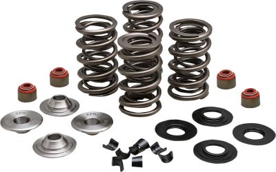 09263349 - KIBBLEWHITE SPRING KIT 05-17 TC/XL