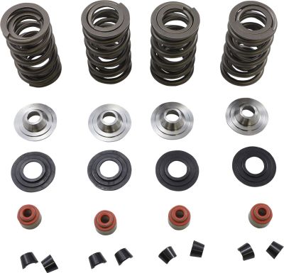 09263350 - KIBBLEWHITE SPRING KIT 05-17 TC/XL