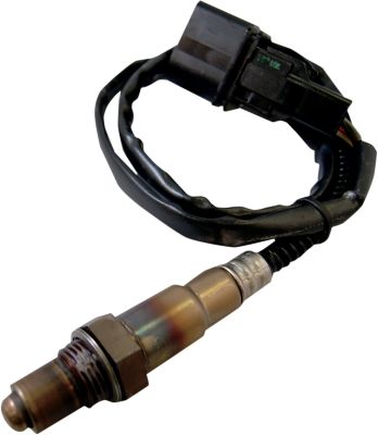 10220039 - ThunderMax SENSOR OXYGEN