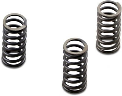 11313294 - EBC CLUTCH SPRING SET CSK