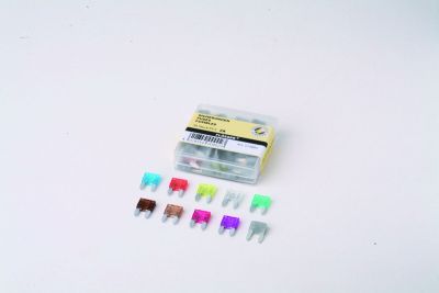 21300162 - FLOSSER FUSES MINI 2A 50PK