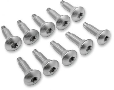 24010740 - DRAG SPECIALTIES SCREW EFI MNT(1311D) 10PK