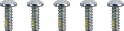 24011582 - DRAG SPECIALTIES SCREWS F RTR 5/16-18TORX