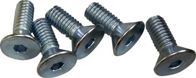 24011591 - DRAG SPECIALTIES SCREWS F RTR 5/16-18CS