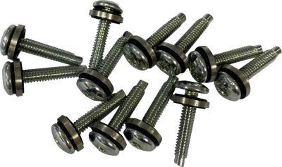 24011600 - DRAG SPECIALTIES SCREW EFI MNT(1331) 12PK