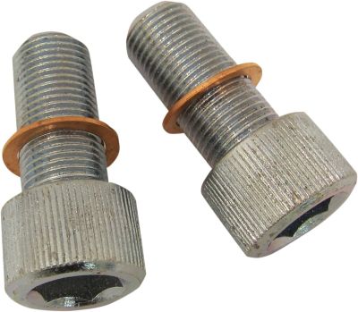 24040547 - DRAG SPECIALTIES SCREWS W/WSHRS DMPR TB