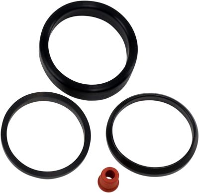 DS173537 - JAMES INT MNFLD SEAL KIT44MM CV