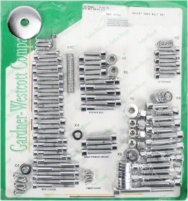 DS175002 - GARDNER-WESTCOTT MOTOR BOLT SET 99-06 FLT