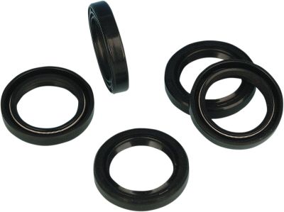 DS194460 - JAMES 70-99BT DBL LIP PNT SEAL