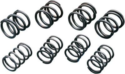 DS199736 - ANDREWS H-LFT 74/80 SPRINGS