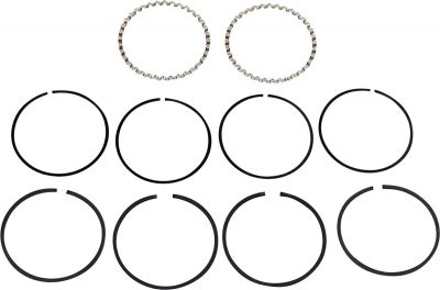 DS750810 - HASTINGS REPLACEMENT 4-STROKE PISTON RING SET