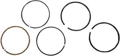 DS750861 - HASTINGS REPLACEMENT 4-STROKE PISTON RING SET