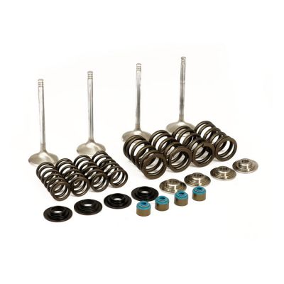 501289 - Manley, Race Master valve kit. Stock - .650" valve lift