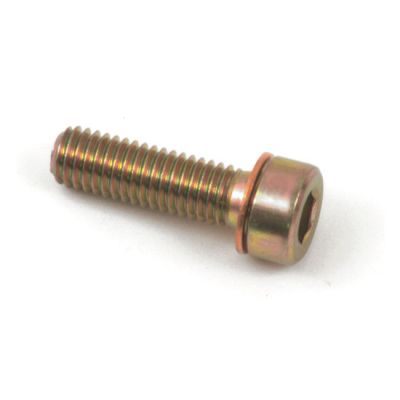 502806 - MCS Fork damper tube mount bolt, allen head