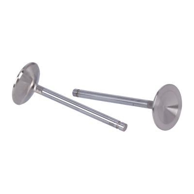 513828 - Manley, Severe Duty stainless valves, intake. STD